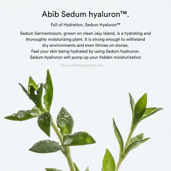 abib-sedum-hyaluron-creme-hydrating-pot-80ml-pic-2