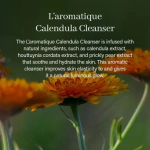 arencia-calendula-rice-mochi-cleanser-120g-pic-2