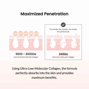 biodance-pore-tightening-collagen-ampoule-50ml-pic-5
