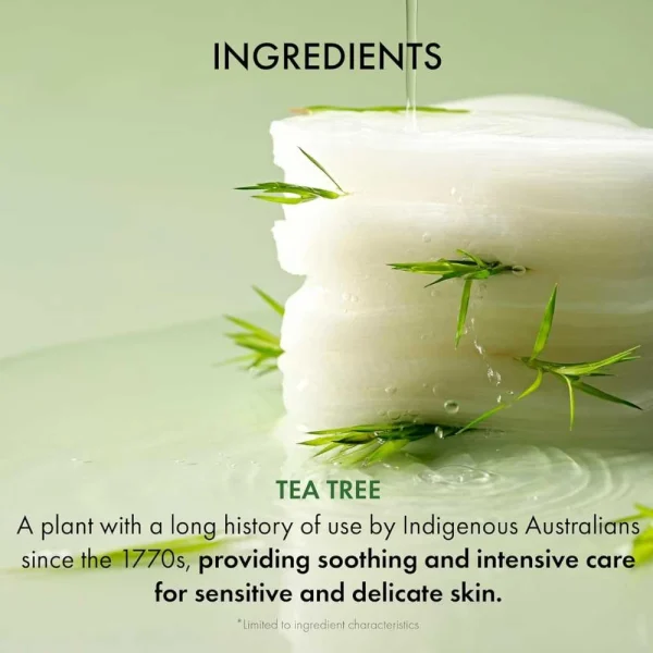 dr-ceuracle-tea-tree-purifine-toner-pad-60pads-pic-2
