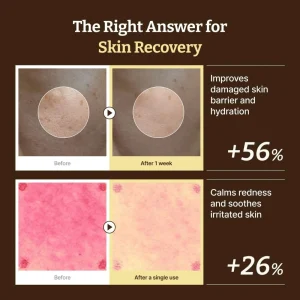 dr-reju-all-advanced-pdrn-rejuvenating-cream-20ml-pic-4