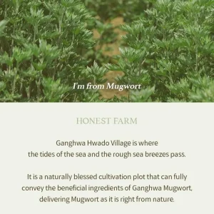 im-from-mugwort-gel-cleanser-150ml-pic-7