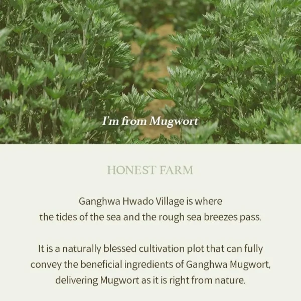 im-from-mugwort-gel-cleanser-150ml-pic-7