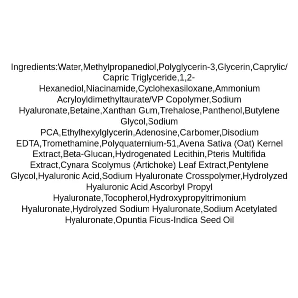 isntree-hyaluronic-acid-water-essence-ingredients