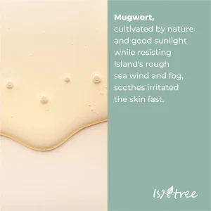 isntree-mugwort-calming-ampoule-50ml-pic-4