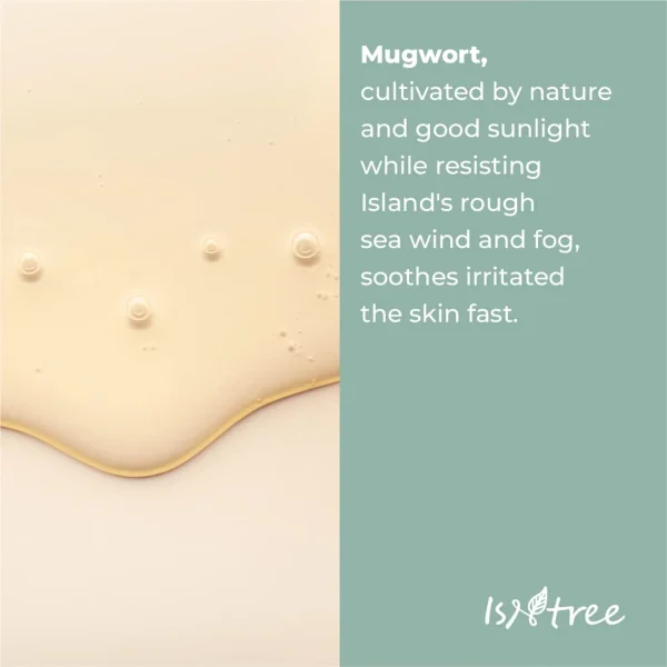 isntree-mugwort-calming-ampoule-50ml-pic-4