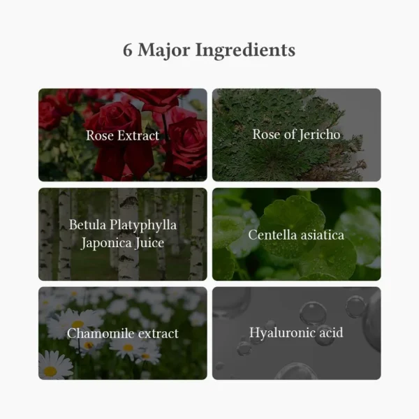 dr-althea-oasis-soothing-mask-27g-pic-2