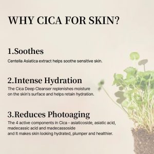 mixsoon-soondy-centella-asiatica-essence-pic-4