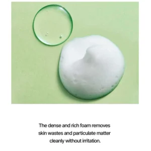 real-barrier-control-t-cleansing-foam-200ml-pic-3