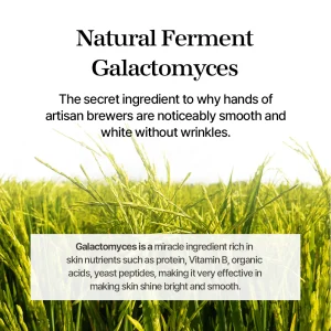 mixsoon-galactomyces-ferment-essence-30ml-pic-1