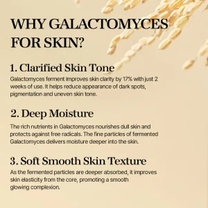 mixsoon-galactomyces-ferment-essence-30ml-pic-2