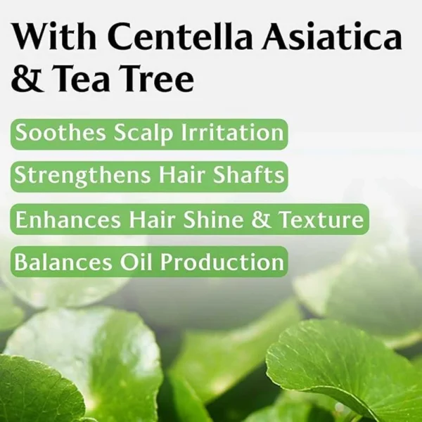 lador-root-re-boot-activating-shampoo-cica-and-tea-tree-pic-6