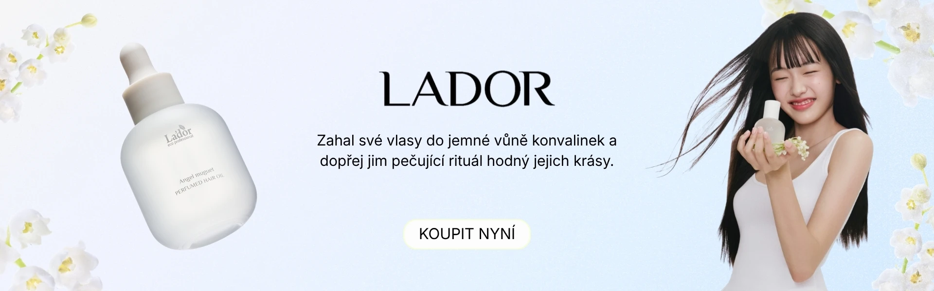 CZ_LADOR_DESKTOP_V2_converted