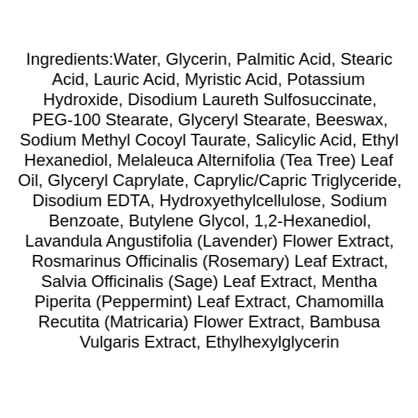 apieu-nonco-tea-tree-cleansing-foam-ingredients