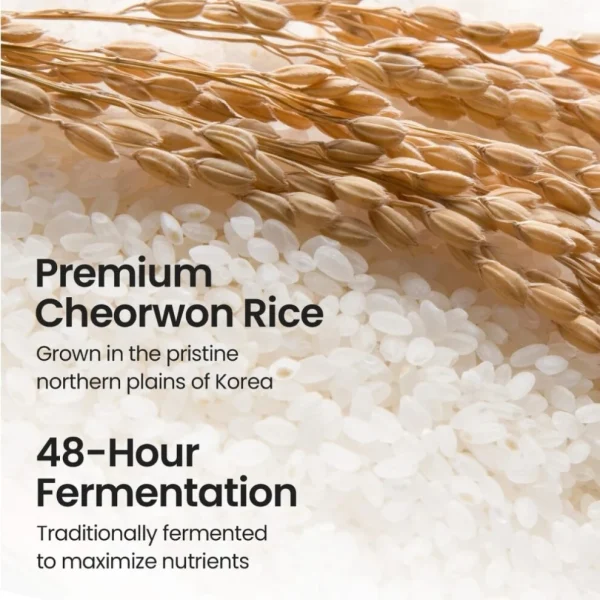 Skinfood - Rice Mask Wash Off 100g — foto 2